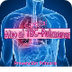ISSUU - Alto al tbc pulmonar p