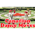 Canadian Dance Moves - YouTube