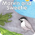 Marvin & Sweetie Story
