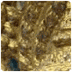 CM2