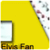Elvis Presley Fan