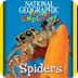 Spiders