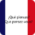 Aprender Francés: 100 Frases e