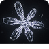 Snowflakes forming