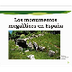 MONUMENTOS MEGALÍTICOS EN ESPA
