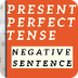 Present Perfect Tense Negative