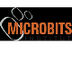 FORMACIO MICROBITS