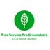 Tree Service Greensboro | Tree