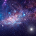 Zooniverse Projects