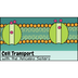 Cell Membranes and Cell Transp