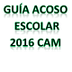 AcosoEscolar2016CAM