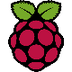 Raspberry Pi Coding