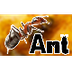 Ants For Kids - YouTube