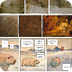 Quelques planches