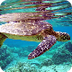 Oceans inc: Ocean Issues