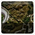 iomtt.com