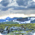 Alpine Tundra Ecosystem 
