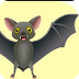 Bat Rhymes, Bat Animal Rhymes 