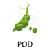 POD