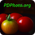PD Photo - Free Photos And Pic