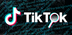 TikTok Investigations and OSIN