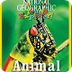 Animal Armor