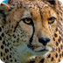 San Diego Zoo