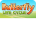 Butterfly Life Cycle | Animal 