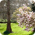 ROYAL PARKS- HYDE PARKK