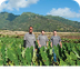 Hoaloha fArms