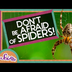 Don't Be Afraid of Spiders! |