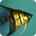 L'aquari Edu365