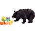 BLACK BEARS: Animals for child