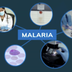 Curso diagnóstico Malaria