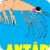 Krill del antártico - Animales