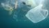 Plasticsoep: feiten, gevolgen
