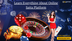 Learn Everything About Online