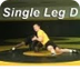 Single Leg Defense 