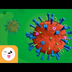 ¿Qué son los virus? - Ciencias