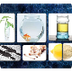 Scholastic Science Activities