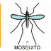 La canción del Mosquito (con p