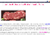 Kobe Beef Steak Price InOnline
