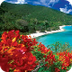Caribbean South America - Goog