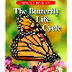 The Butterfly Life Cycle - Raz