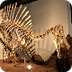 Top 10 Dinosaurios Carnívoros 