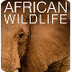 African Animals Camera - live 
