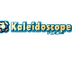 Kaleidoscope Painter