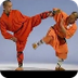 Shaolin Kong fu 18 Basic metho