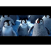 mooi liedje van pinguins