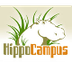 HippoCampus - Homework 